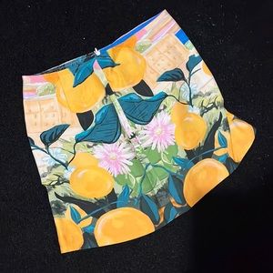 H&M Limited Edition Printed Skirt